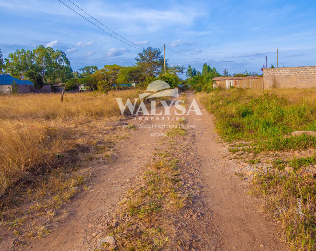 Salama Gatuanyaga Plots
